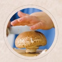 DETAN德添牛排菇 褐菇 早餐菇 購買請聯(lián)系，否則不發(fā)貨