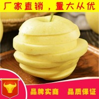 黃元帥黃金蘋(píng)果新鮮水果10斤裝現(xiàn)摘黃金帥蘋(píng)果非奶油富士金蘋(píng)果