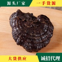 大別山靈芝 源產(chǎn)地大貨批發(fā) 投料靈芝 切片靈芝規(guī)格齊全 一件代發(fā)