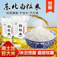 東北大米10斤遼星白粒米5kg食堂餐廳外賣雪花米丑米色選白米批發