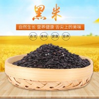 批發(fā)25kg五谷雜糧黑米 袋裝東北黑香米 煮粥做飯營(yíng)養(yǎng)健康濃香