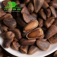 百世榛情東北特產新貨原味散裝堅果零食廠家批發(fā)開口松子特大500g