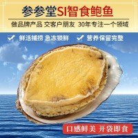 順豐廠(chǎng)家批發(fā)煙臺(tái)鮮活七孔即食鮑魚(yú) 海捕新鮮海鮮佛跳墻食材