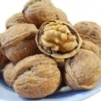 新貨上市，常年供應核桃，質量保證 價格優惠