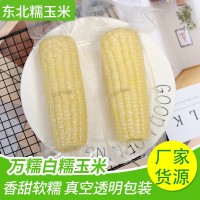 廠(chǎng)家直發(fā)東北玉米2100g粗糧代餐糯玉米整箱白玉米棒真空獨(dú)立包裝