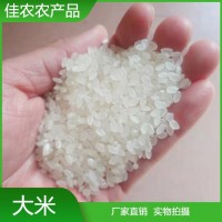 大量供應(yīng)酒廠發(fā)酵碎米 熬粥用大米 顆粒均勻飽滿(mǎn) 支持定制