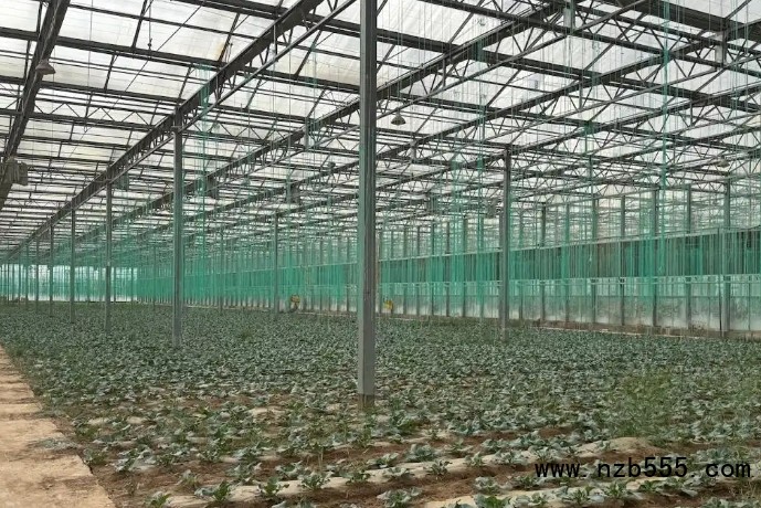 微信截圖_20250506170324