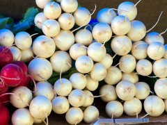 種植白蘿卜如何進行土肥管理，管理要點都有哪些？